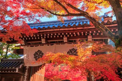 🏯 샘이 솟는 절(센뉴지)